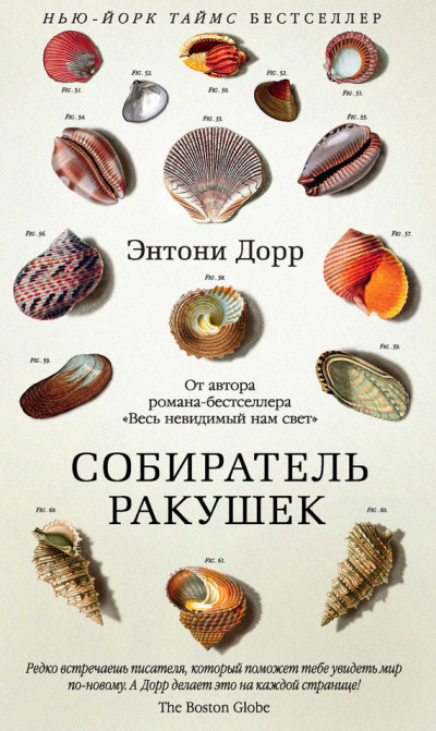 Собиратель ракушек - Энтони Дорр - Серии Аудиокниг 🔊 Цикл Аудиокниг 🆓 Литрес 100% Бесплатно
