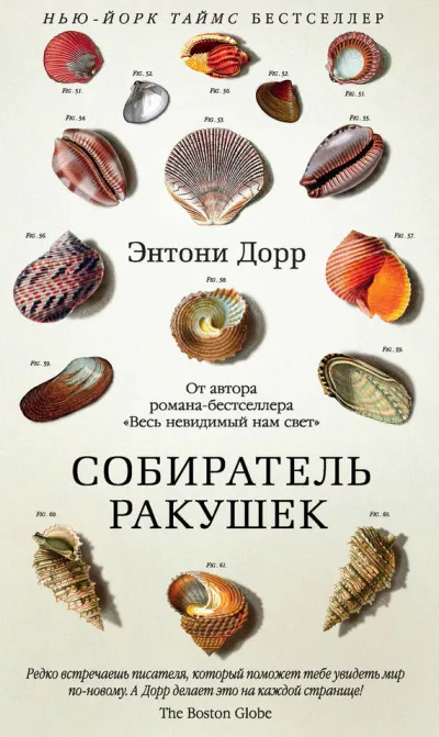 Собиратель ракушек - Энтони Дорр - Серии Аудиокниг 🔊 Цикл Аудиокниг 🆓 Литрес 100% Бесплатно