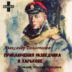 Приключения разведчика в Харькове. Рассказы - Александр Долгополов - Серии Аудиокниг 🔊 Цикл Аудиокниг 🆓 Литрес 100% Бесплатно
