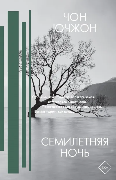 Семилетняя ночь - Чон Ючжон - Серии Аудиокниг 🔊 Цикл Аудиокниг 🆓 Литрес 100% Бесплатно