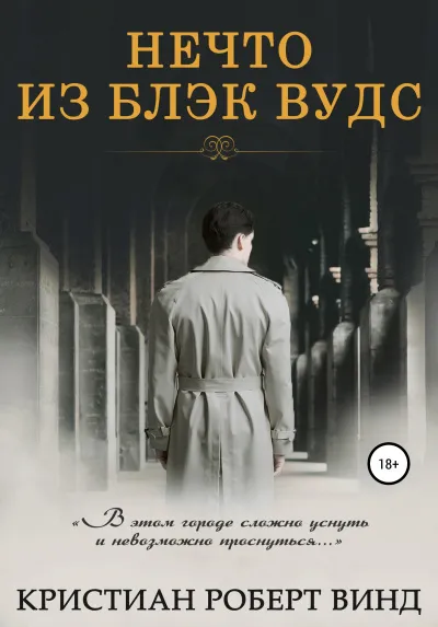 Нечто из Блэк Вудс - Кристиан Роберт Винд - Серии Аудиокниг 🔊 Цикл Аудиокниг 🆓 Литрес 100% Бесплатно