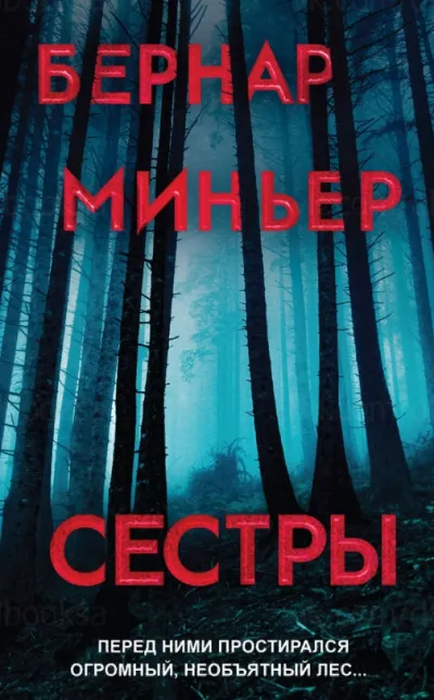 Сёстры - Бернар Миньер - Серии Аудиокниг 🔊 Цикл Аудиокниг 🆓 Литрес 100% Бесплатно