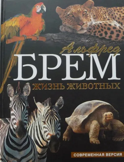 Жизнь животных. Пресмыкающиеся. Обезьяны - Альфред Брэм - Серии Аудиокниг 🔊 Цикл Аудиокниг 🆓 Литрес 100% Бесплатно