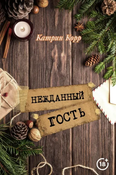 Нежданный гость - Катрин Корр - Серии Аудиокниг 🔊 Цикл Аудиокниг 🆓 Литрес 100% Бесплатно