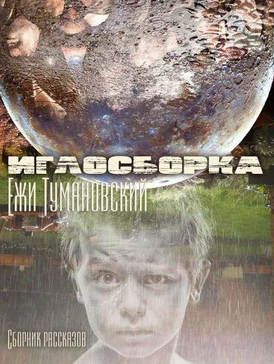 Иглосборка (Сборник рассказов) - Ежи Тумановский - Серии Аудиокниг 🔊 Цикл Аудиокниг 🆓 Литрес 100% Бесплатно
