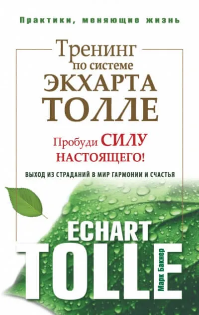 Тренинг по системе Экхарта Толле. Пробуди силу настоящего! - Марк Бакнер - Серии Аудиокниг 🔊 Цикл Аудиокниг 🆓 Литрес 100% Бесплатно
