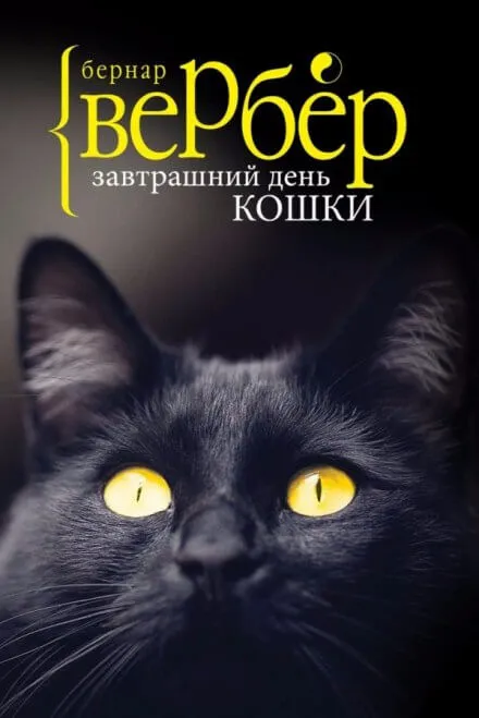 Завтрашний день кошки - Бернард Вербер - Серии Аудиокниг 🔊 Цикл Аудиокниг 🆓 Литрес 100% Бесплатно