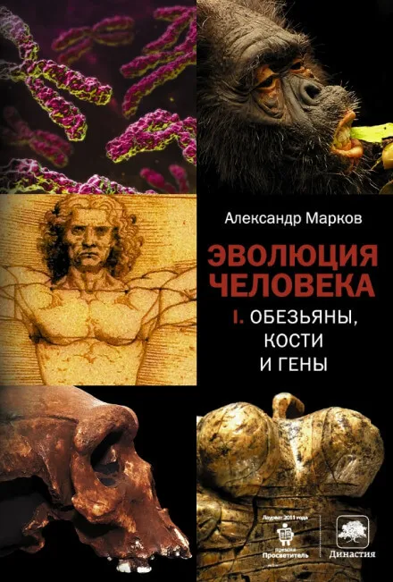 Обезьяны, кости и гены - Александр Марков - Серии Аудиокниг 🔊 Цикл Аудиокниг 🆓 Литрес 100% Бесплатно