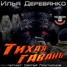 Тихая гавань - Илья Деревянко - Серии Аудиокниг 🔊 Цикл Аудиокниг 🆓 Литрес 100% Бесплатно