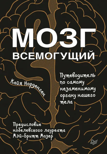 Мозг всемогущий. Путеводитель по самому незаменимому органу нашего тела - Кайя Норденген - Серии Аудиокниг 🔊 Цикл Аудиокниг 🆓 Литрес 100% Бесплатно