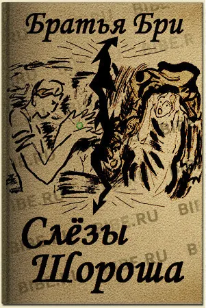 Слёзы Шороша. Книга 3 - Братья Бри - Серии Аудиокниг 🔊 Цикл Аудиокниг 🆓 Литрес 100% Бесплатно
