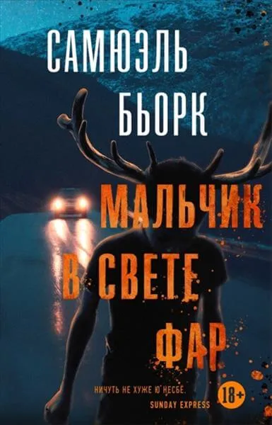 Мальчик в свете фар - Самюэль Бьорк - Серии Аудиокниг 🔊 Цикл Аудиокниг 🆓 Литрес 100% Бесплатно