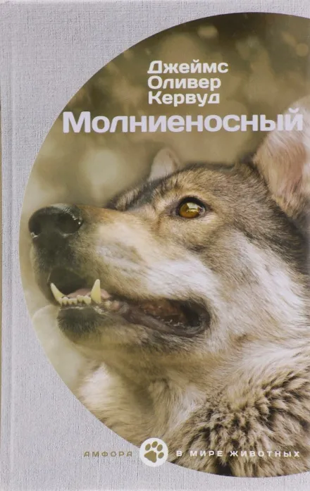 Молниеносный - Джеймс Оливер Кервуд - Серии Аудиокниг 🔊 Цикл Аудиокниг 🆓 Литрес 100% Бесплатно