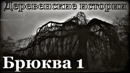 Брюква - Роман Пономарев - Серии Аудиокниг 🔊 Цикл Аудиокниг 🆓 Литрес 100% Бесплатно