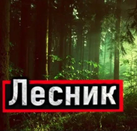 Лесник - Александр Устинов - Серии Аудиокниг 🔊 Цикл Аудиокниг 🆓 Литрес 100% Бесплатно