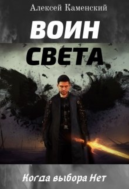 Воин Света - Алексей Каменский - Серии Аудиокниг 🔊 Цикл Аудиокниг 🆓 Литрес 100% Бесплатно