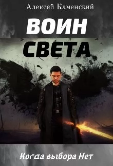 Воин Света - Алексей Каменский - Серии Аудиокниг 🔊 Цикл Аудиокниг 🆓 Литрес 100% Бесплатно