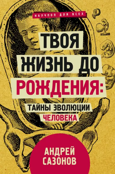 Твоя жизнь до рождения: тайны эволюции человека - Андрей Сазонов - Серии Аудиокниг 🔊 Цикл Аудиокниг 🆓 Литрес 100% Бесплатно