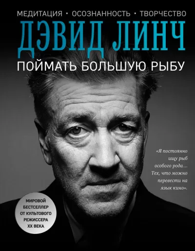 Поймать большую рыбу. Медитация, осознанность, творчество - Дэвид Линч - Серии Аудиокниг 🔊 Цикл Аудиокниг 🆓 Литрес 100% Бесплатно