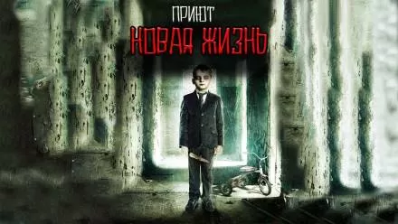 Приют Новая жизнь - Максим Георгиев - Серии Аудиокниг 🔊 Цикл Аудиокниг 🆓 Литрес 100% Бесплатно