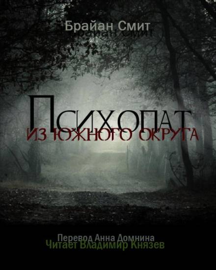 Психопат из южного округа - Брайан Смит - Серии Аудиокниг 🔊 Цикл Аудиокниг 🆓 Литрес 100% Бесплатно