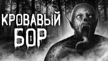 Кровавый бор - Даниил Авдеев - Серии Аудиокниг 🔊 Цикл Аудиокниг 🆓 Литрес 100% Бесплатно
