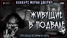 Пацаны - Диана Вьюгина - Серии Аудиокниг 🔊 Цикл Аудиокниг 🆓 Литрес 100% Бесплатно