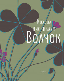 Волчок - Михаил Нисенбаум - Серии Аудиокниг 🔊 Цикл Аудиокниг 🆓 Литрес 100% Бесплатно