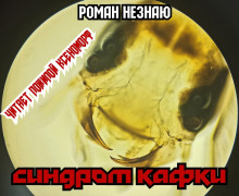 Синдром Кафки - Роман Незнаю - Серии Аудиокниг 🔊 Цикл Аудиокниг 🆓 Литрес 100% Бесплатно