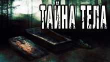 Тайна тела - Евгений Шорстов - Серии Аудиокниг 🔊 Цикл Аудиокниг 🆓 Литрес 100% Бесплатно
