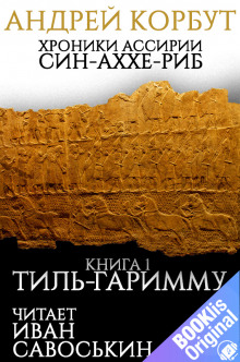 Тиль Гаримму - Андрей Корбут - Серии Аудиокниг 🔊 Цикл Аудиокниг 🆓 Литрес 100% Бесплатно