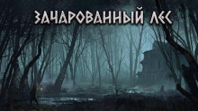 Зачарованный лес - Александр Цзи - Серии Аудиокниг 🔊 Цикл Аудиокниг 🆓 Литрес 100% Бесплатно
