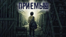 Приёмыш - Александр Цзи - Серии Аудиокниг 🔊 Цикл Аудиокниг 🆓 Литрес 100% Бесплатно
