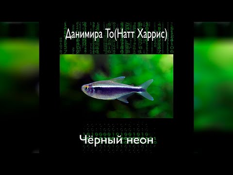 Данимира То - Черный неон (аудиокнига) | фантастика, цифровое бессмертие - Серии Аудиокниг 🔊 Цикл Аудиокниг 🆓 Литрес 100% Бесплатно