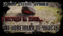 Мгновенная вечность - Брайан Джеймс Фримен - Серии Аудиокниг 🔊 Цикл Аудиокниг 🆓 Литрес 100% Бесплатно