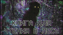 Книга для чтения в лесу - Grey - Серии Аудиокниг 🔊 Цикл Аудиокниг 🆓 Литрес 100% Бесплатно