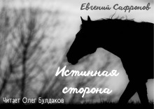 Истинная сторона - Евгений Сафронов - Серии Аудиокниг 🔊 Цикл Аудиокниг 🆓 Литрес 100% Бесплатно