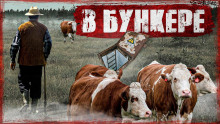 Пастух - Хамет - Серии Аудиокниг 🔊 Цикл Аудиокниг 🆓 Литрес 100% Бесплатно
