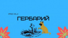 Гербарий - Александр Денисенко - Серии Аудиокниг 🔊 Цикл Аудиокниг 🆓 Литрес 100% Бесплатно