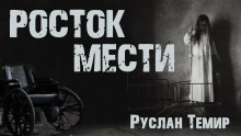 Росток мести - Руслан Темир - Серии Аудиокниг 🔊 Цикл Аудиокниг 🆓 Литрес 100% Бесплатно