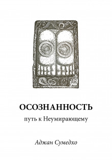 Осознанность путь к Неумирающему - Аджан Сумедхо - Серии Аудиокниг 🔊 Цикл Аудиокниг 🆓 Литрес 100% Бесплатно