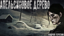Апельсиновое дерево - Андрей Терехов - Серии Аудиокниг 🔊 Цикл Аудиокниг 🆓 Литрес 100% Бесплатно