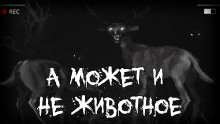 А может и не животное - Автор неизвестен - Серии Аудиокниг 🔊 Цикл Аудиокниг 🆓 Литрес 100% Бесплатно