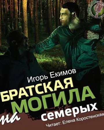 Братская могила на семерых - Екимов Игорь - Серии Аудиокниг 🔊 Цикл Аудиокниг 🆓 Литрес 100% Бесплатно