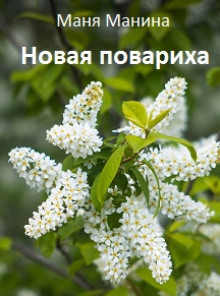 Новая повариха - Маня Манина - Серии Аудиокниг 🔊 Цикл Аудиокниг 🆓 Литрес 100% Бесплатно