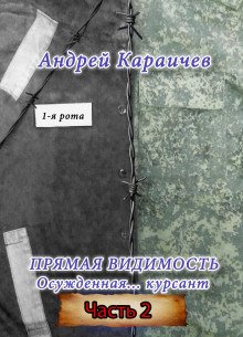 Прямая видимость. Часть 2 - Автор неизвестен - Серии Аудиокниг 🔊 Цикл Аудиокниг 🆓 Литрес 100% Бесплатно