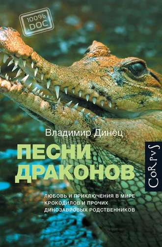 Песни драконов - Владимир Динец - Серии Аудиокниг 🔊 Цикл Аудиокниг 🆓 Литрес 100% Бесплатно