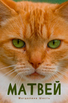 Матвей - Магдалина Шасть - Серии Аудиокниг 🔊 Цикл Аудиокниг 🆓 Литрес 100% Бесплатно
