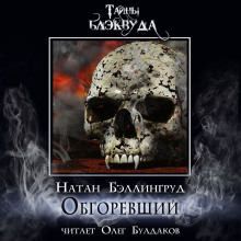 Обгоревший - Натан Бэллингруд - Серии Аудиокниг 🔊 Цикл Аудиокниг 🆓 Литрес 100% Бесплатно