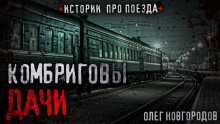 Комбриговы дачи - Олег Новгородов - Серии Аудиокниг 🔊 Цикл Аудиокниг 🆓 Литрес 100% Бесплатно